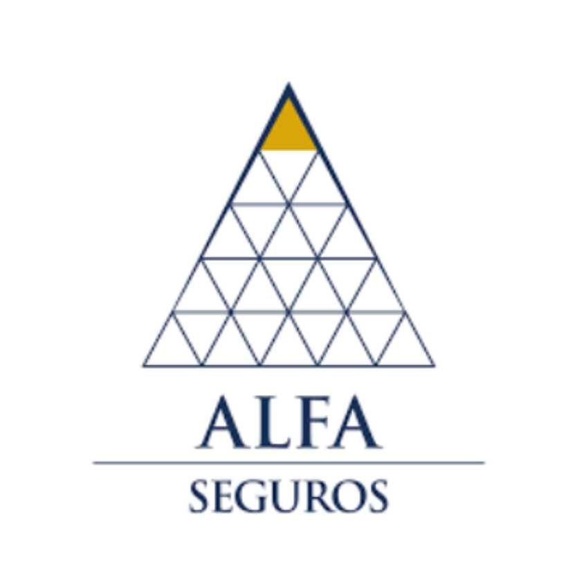 Seguradoras Parceiras 12 12